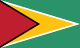 Flag of Guyana
